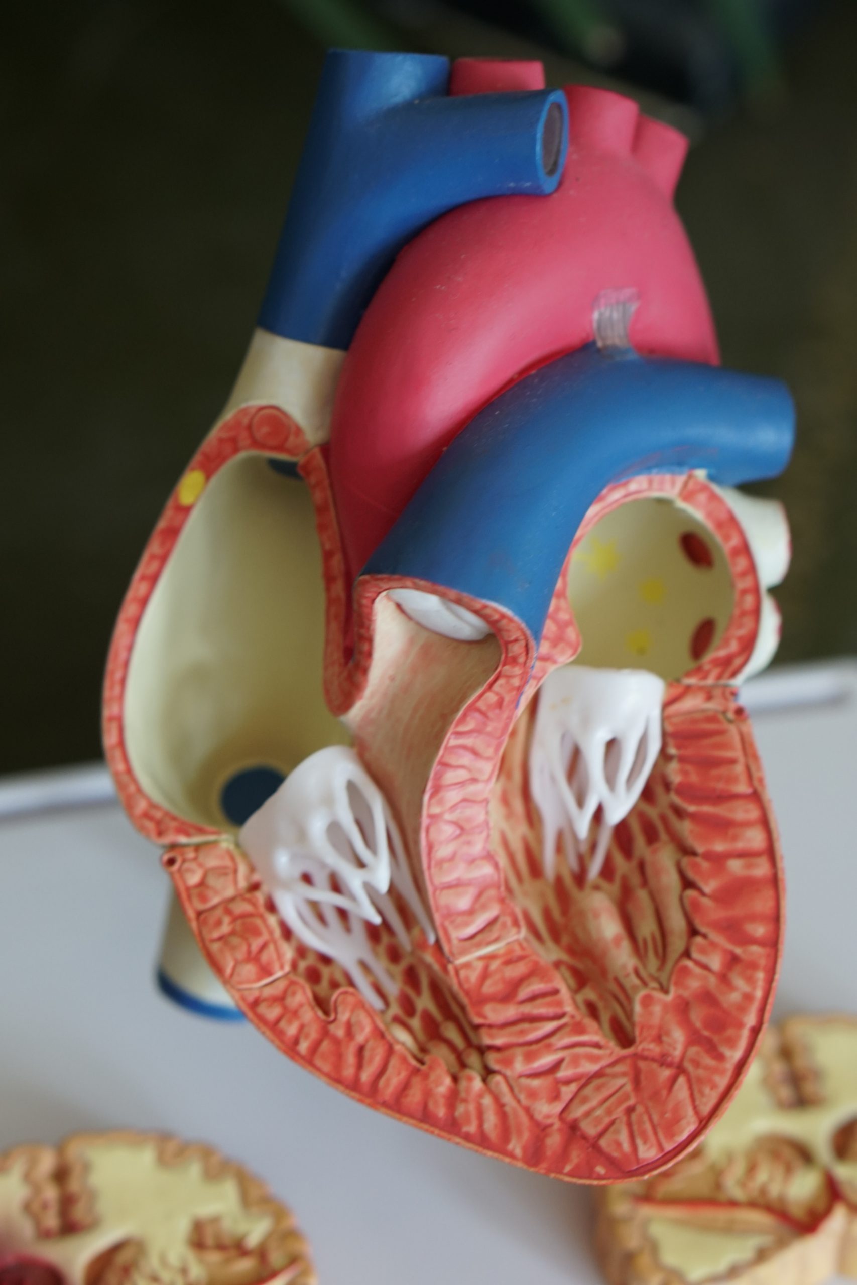 Cleveland Clinic Home Care Respiratory Therapy